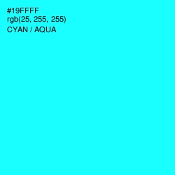 #19FFFF - Cyan / Aqua Color Image